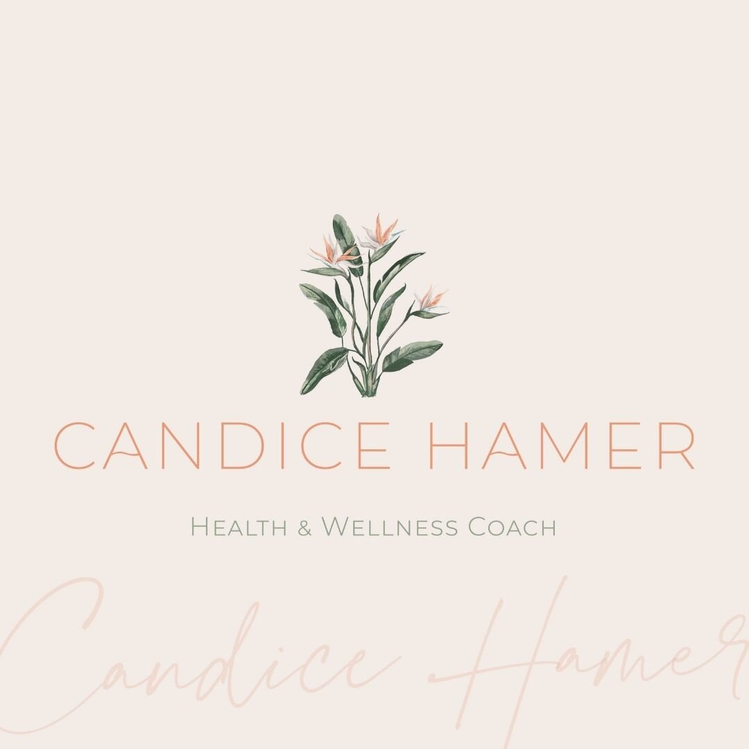  Candice Hamer   VISUAL BRAND IDENTITY DESIGN 