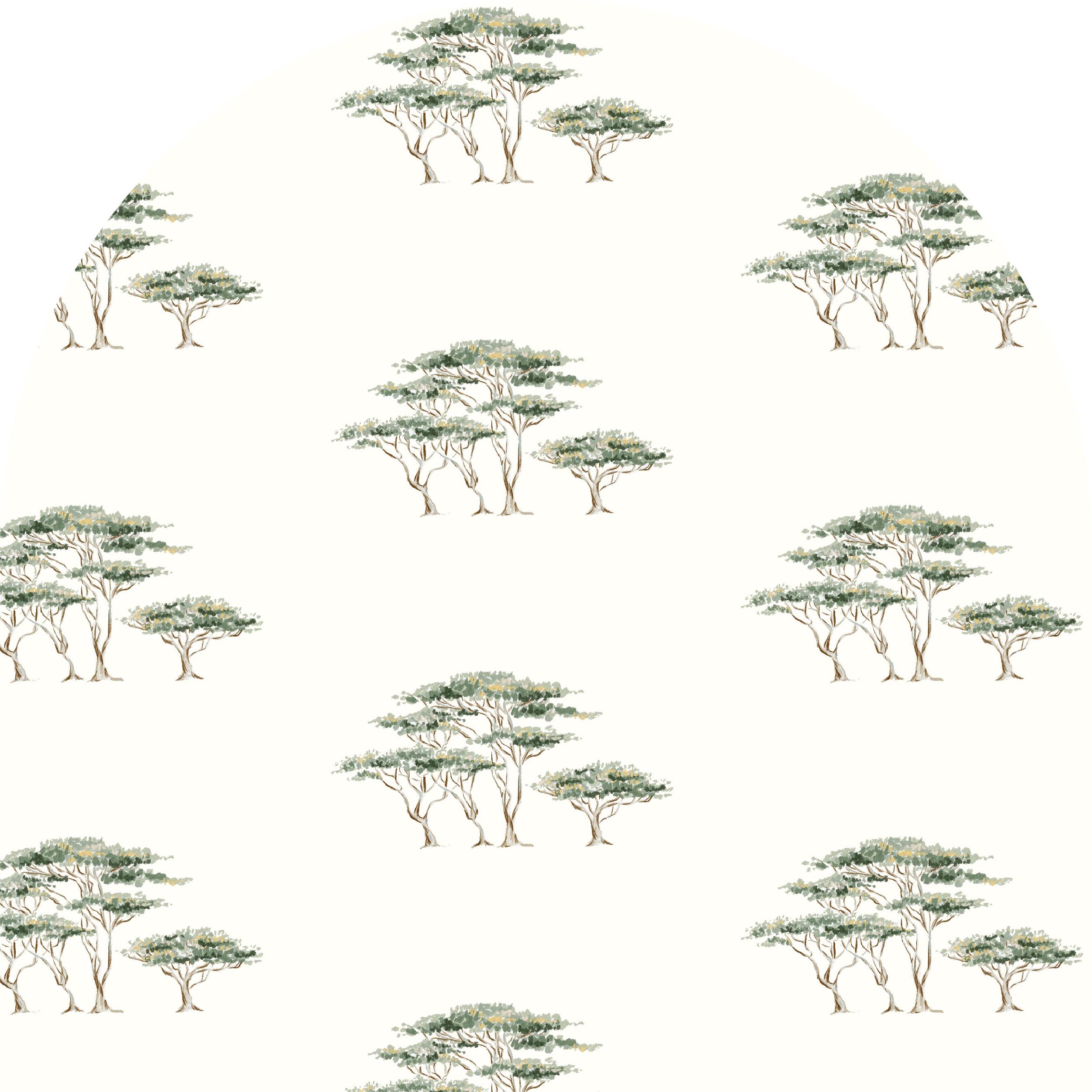  ACACIA GLADE | WHEAT 